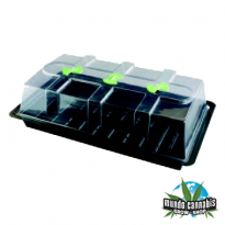 Invernadero Grande ZA100