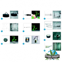 Kit Accesorios Secret Jardín