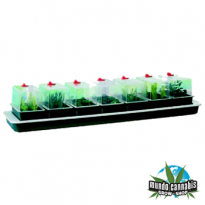 Propagador Super 7 Eléctrico