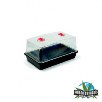 Propagadores y Mini-Invernaderos