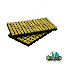 Taco Cuadrado en Bandejas