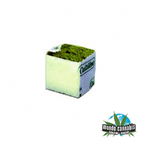 Taco Esquejes Con Forro 5x5x5 cm.