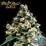 Green House Jack Herer