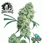 Sensi Seeds Ed Rosental Super Bud