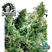 Sensi Seeds Indoor Mix
