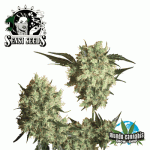 Sensi Seeds Marley¥s Collie
