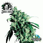 Sensi Seeds Super Skunk