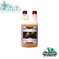 Canna Terra Flores