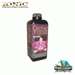 Ionic Orchid Focus Bloom